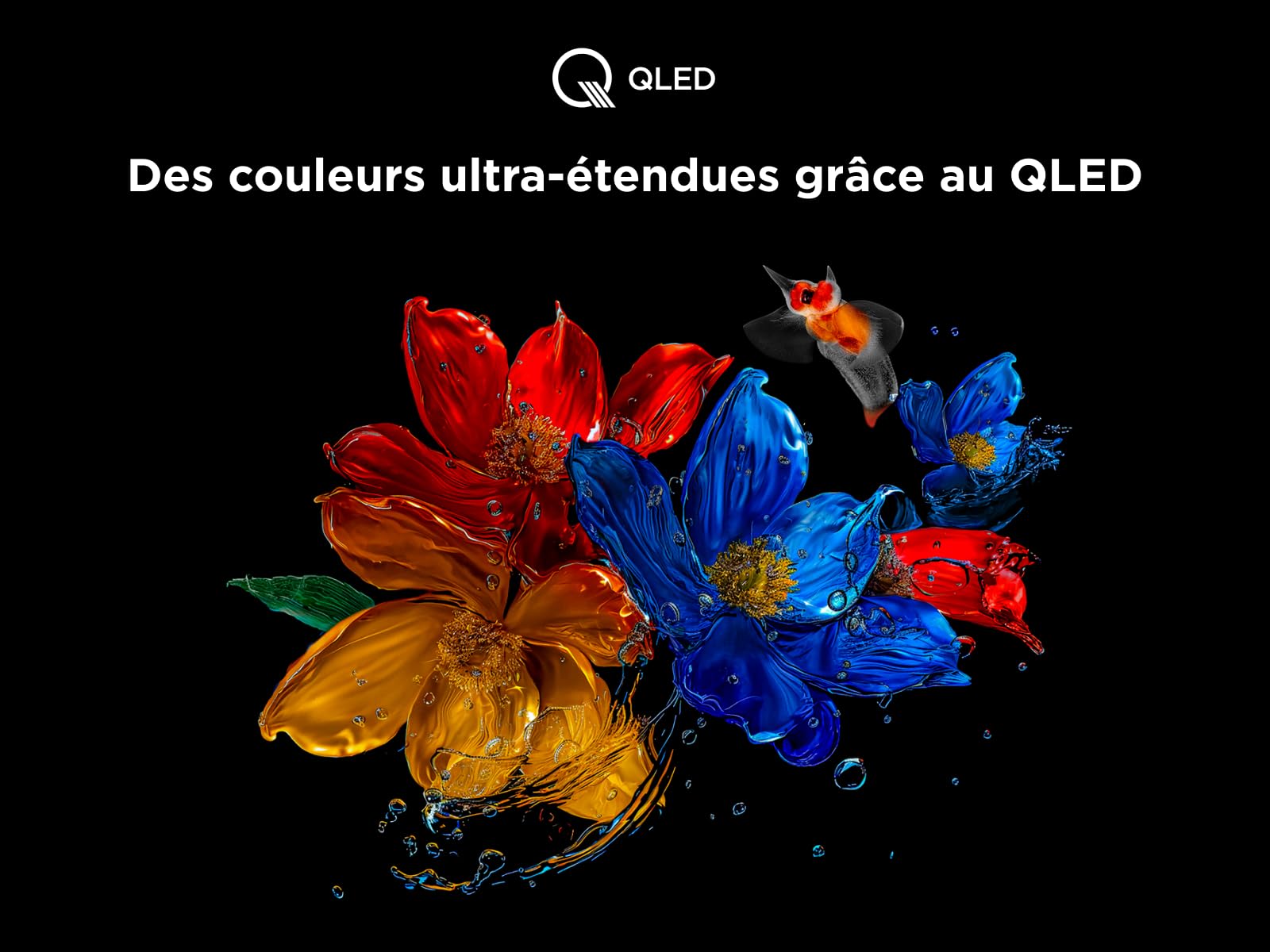 TCL 75T8C 75" QLED 4K HDR Ultra HD TV, Smart TV Powered by Google TV (Dolby Vision & Atmos, 144Hz Motion Clarity Pro, FreeSync, Onkyo 2.1 Sound, Voice Control)