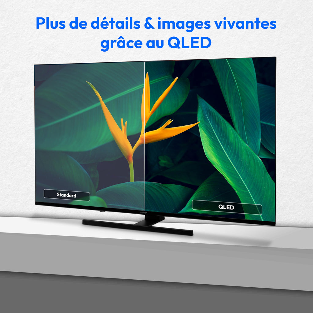 MEDION Téléviseur QLED 108 cm (43 "), Fire TV, Smart TV, Dolby Vision HDR, Dolby Atmos, Prime Video, Bluetooth, DVB-T2, MD 843800)