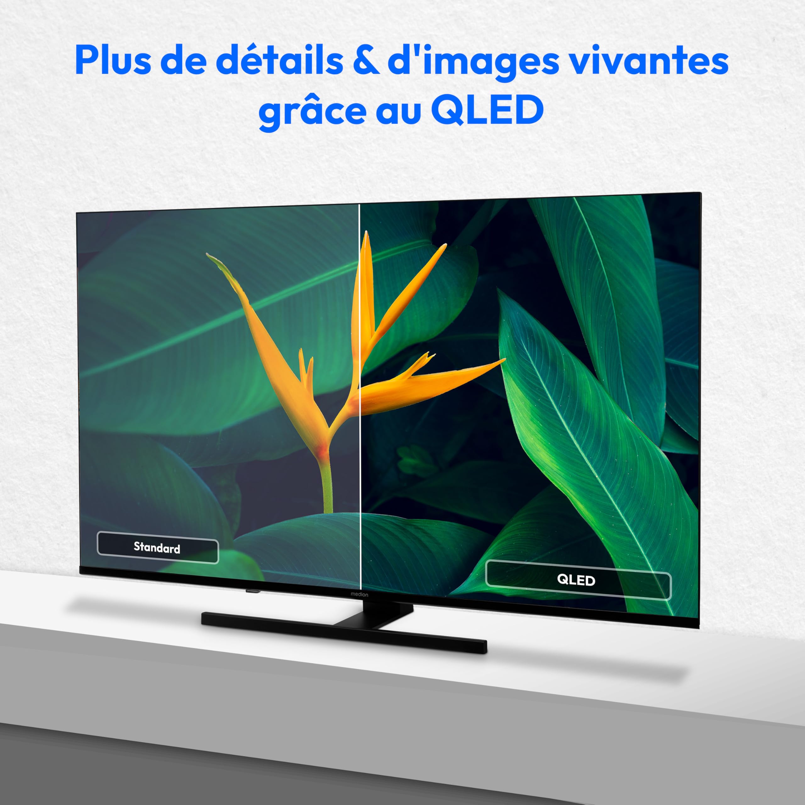 MEDION TV 55 Pouces 4K (138,8 cm) QLED Television (Smart TV 4K, Dolby Vision HDR, VIDAA Store, Prime Video, Disney+, DAZN, Paramount+, DTS X, Dolby Atmos, PVR, Bluetooth, MD 855600)